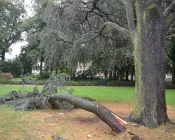 k5v00yci0kou5ow9rt1lb9c0v 168733