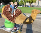 k5vdxkf2f0hiscydjtam6zb4c 80717