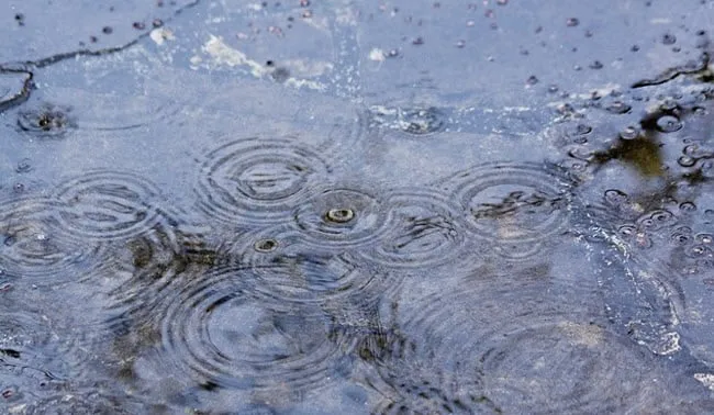 k85gu2wuzr9j9391h4luckfu4 regen2