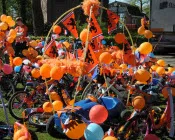 knulxej02txujls48fsn332yc 138651