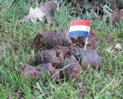 ks41ibxd6wh9s7yxiffp0tw7h 67693