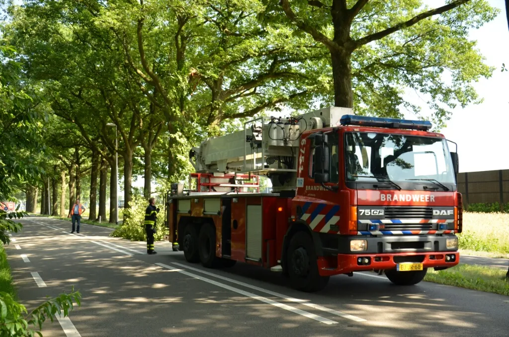 l19z0m3l54915l13nhfa4farr dsc5392resizedbyavgimageshrinker