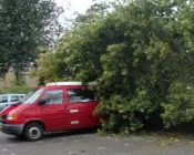 l2eyxtdbkwfef9zquex31g7mj 177600