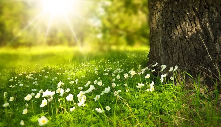 lente2