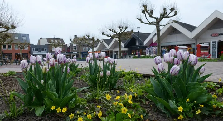 looierspleinnieuw