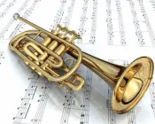 lwlip509dv55uua6j389sqjmb 16454