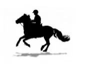 mmemhyj4u5x23u16ibalensdp 18445