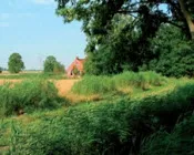 mqdjatbrb4614aif6g4sqgs8i 176866