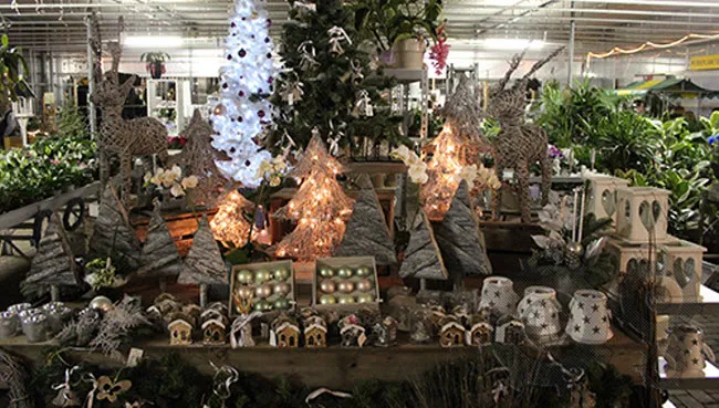 n13eeis8eotrd60uz3vfenvp9 winterfair1