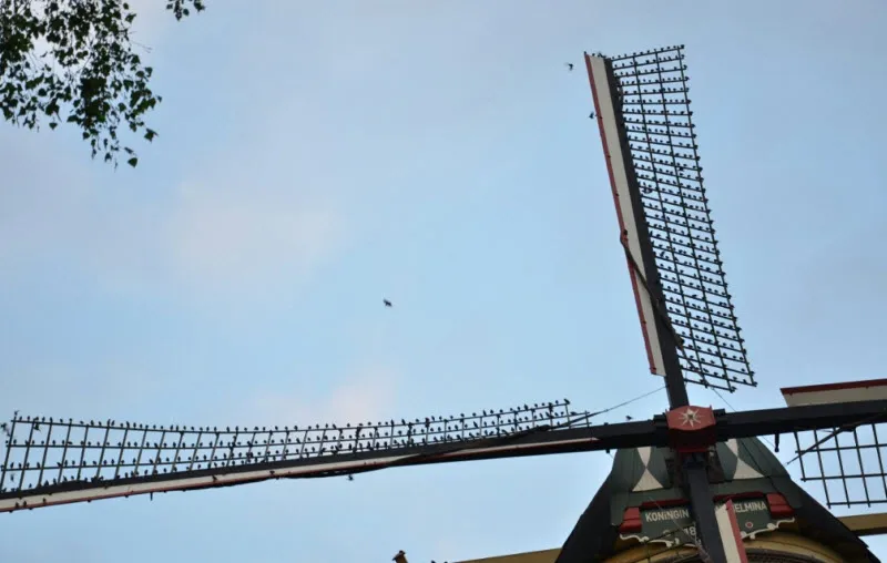 n50mp5ugug193xvok5r3qladt hangplek