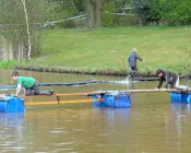 o52q4bt3am8hc2z8pn1txmua3 134774