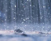 ohphn7yeubdtejdk2crgs1tan 74922