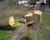 oommokgacjocyywoie37hd69h 9762