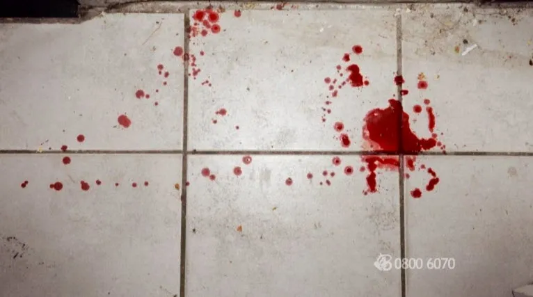 pbc8u5235xdo4q9uckm8wcph7 spar3