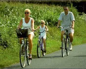 pie21wgp78tc5awmegicoy7va 12847