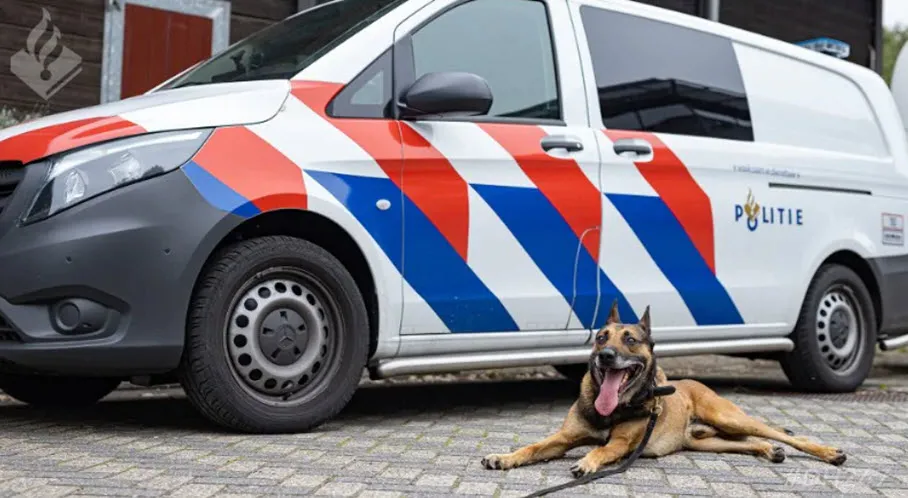 politie hond