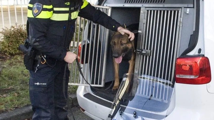 politiehond