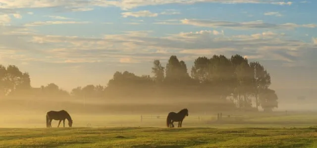 pz0l3yhqd6iwaeiiey6uq984i nazomerweer1 e1410345047444 640x300