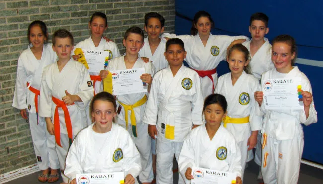 q7wca7yx2qryqwix31nqxig7p karate299