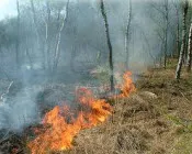 qa87rudnl3eojyp930evmlst5 60817