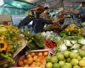 qg36rrm29f490ckvqc42qvngc 55759