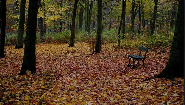 qtdghqnrvx5tkko4inmhxkck8 herfst