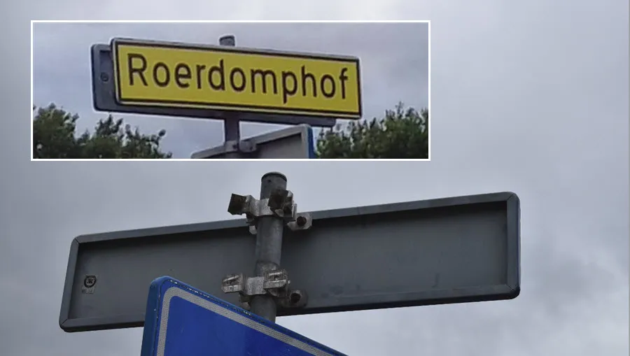 rdh19