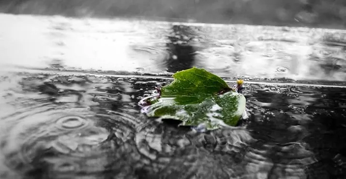 regenzomer
