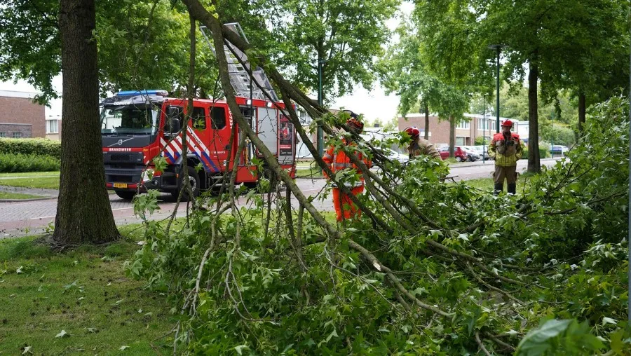 rijnstraat1