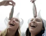 s6uviignilccciaemvojgzfjk 148703