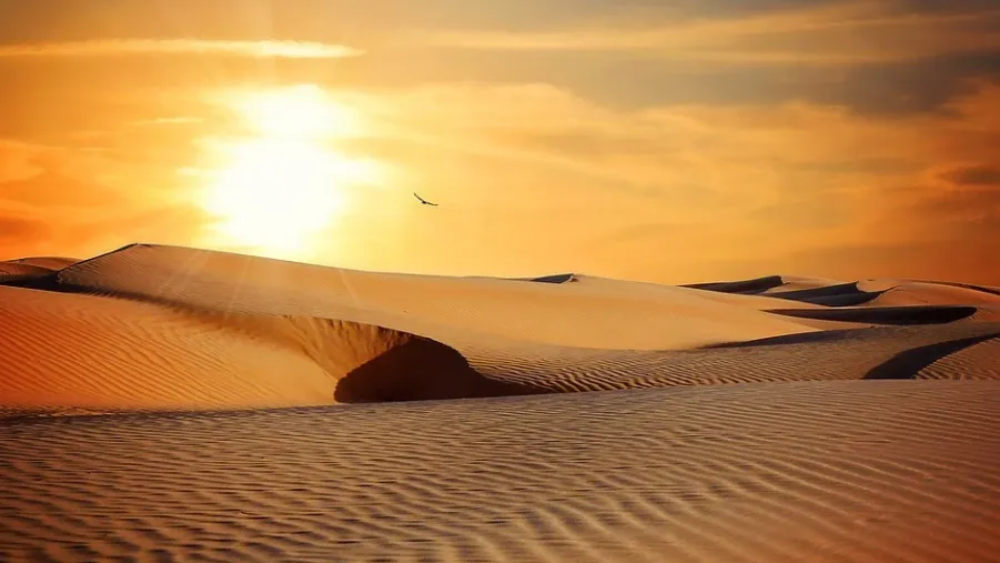 sahara