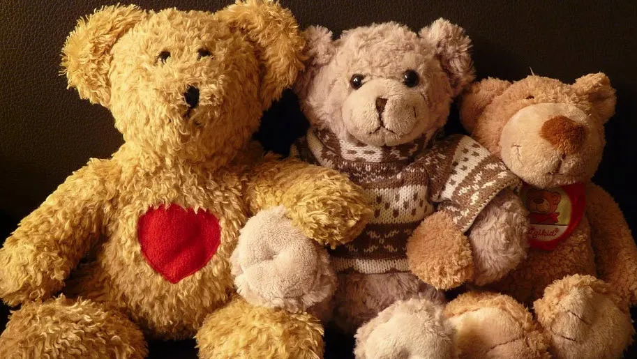teddy