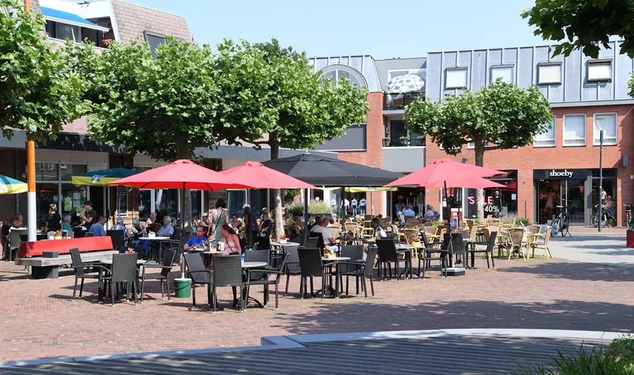 terras1