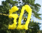 tozhkqpfwsc61b31f78dtwecj 22569