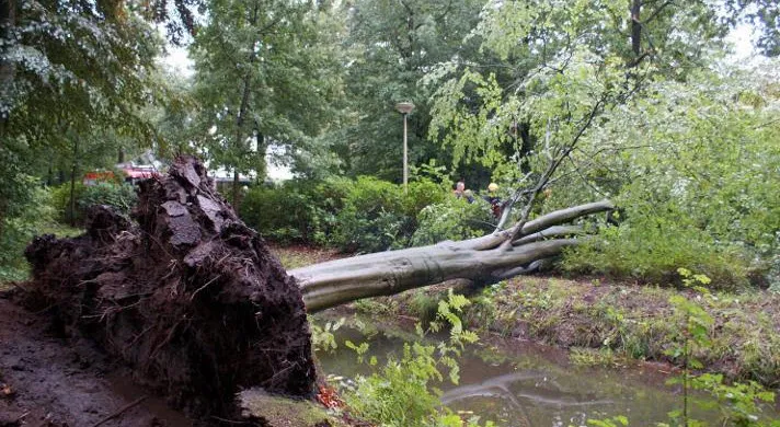 tspveh9lr1hx5e6zaq7xnf99c beuk