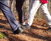 tss9l38x6vvzs0htpmfc13dhw 228973