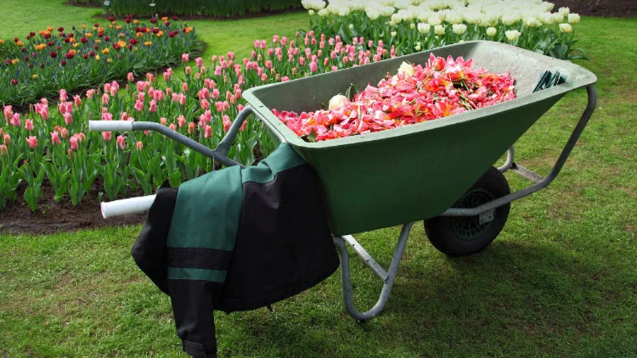 tuintips