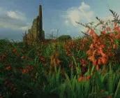 up7ohr9kzow1hai0tjc0p7woz 35653