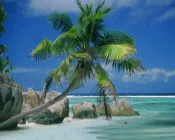 us9herqlm6bbh9axx6bx257ea 17920