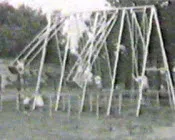 uvnsqipgd1qzj3ys6zv12zxu4 67699