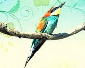 v91pbvruqajryrhdrb045netl 132311