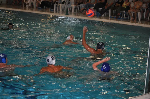 vef48f73f6edtdiz4uovk38tc polo14081