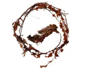 vk3b1rbfgcaw7tbwbbj7v47sp 21166