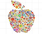 vmkg21wzpphplow4bm7ot6rl9 216603