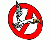 vwvk38s6euwos68hwkt0rj3d9 59904