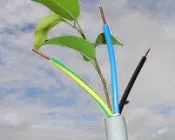 wmsv1nu9yh32ov2h30v62jntl 34346