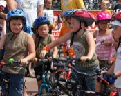 x77qi3urxbvcgswi50w6ku54p 19192