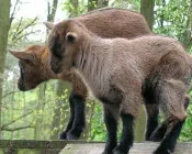 xb3zlc2c2lvq7c9635vrvumy1 62630