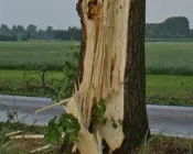 y4apdxn741ogqjk180q7p9oxj 67038