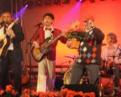 ywo9mxaipbd0m2dzk7nmngoa0 65168